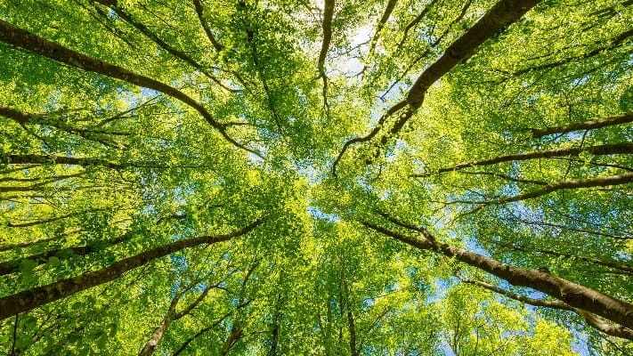 Other Climate Solution