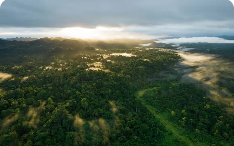 Circular Climate Impact