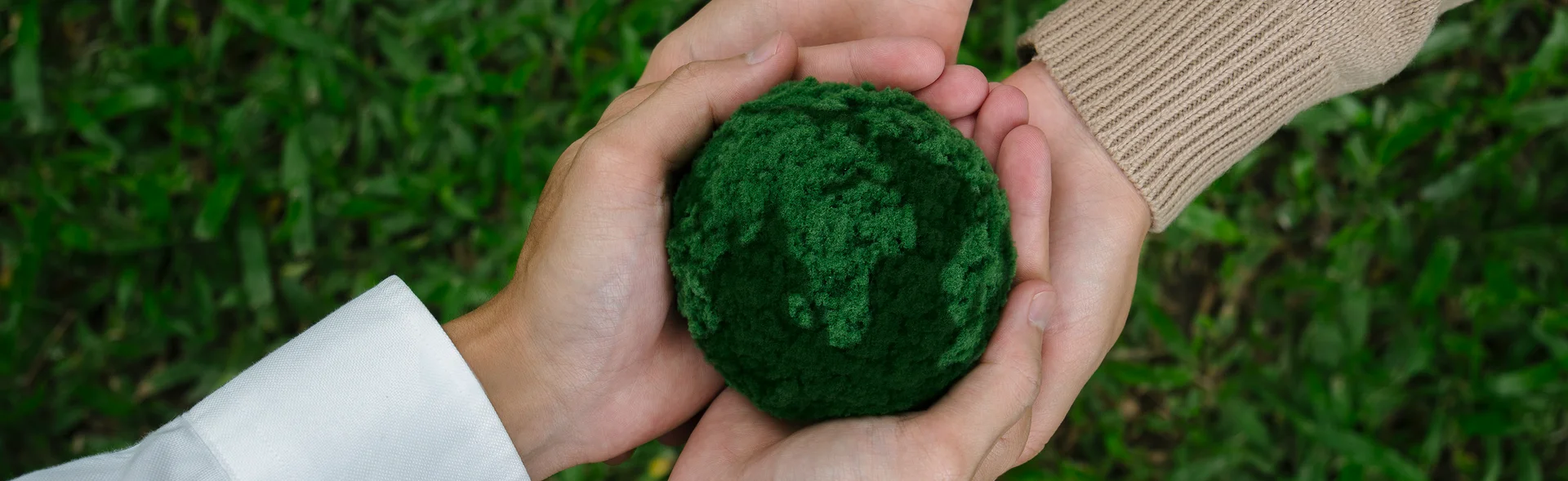 background image of section